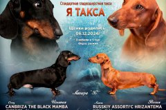 ja-taksa1
