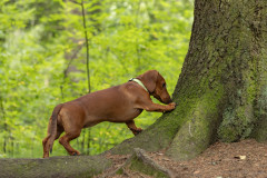 20220302-img_5884