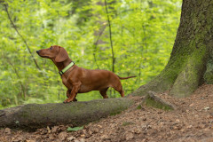 20220302-img_5890