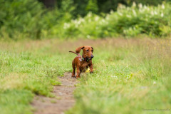 20220302-img_5902