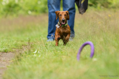 20220302-img_5907