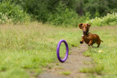 20220302-img_5923
