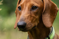 20220302-img_5928
