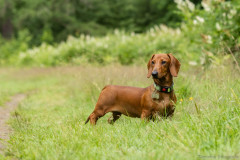 20220302-img_5934