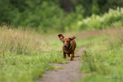 20220302-img_5961