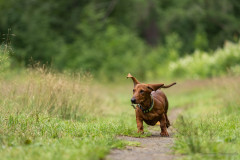20220302-img_5962
