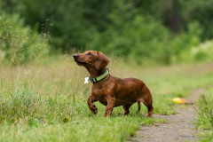 20220302-img_5963