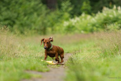20220302-img_5964