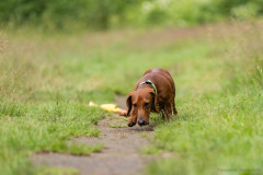 20220302-img_5965