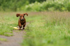 20220302-img_5969