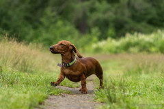 20220302-img_5980