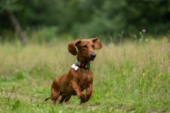 20220302-img_6029