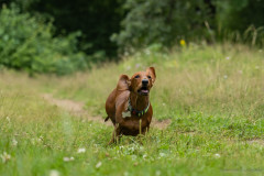 20220302-img_6039