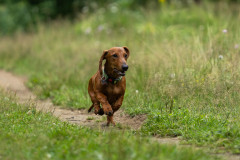 20220302-img_6046