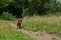 20220302-img_6051