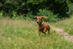 20220302-img_6054