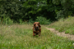 20220302-img_6055