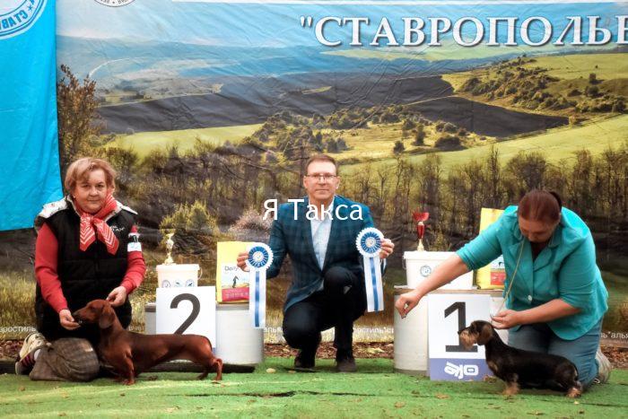 Русский Ассортик Солоха