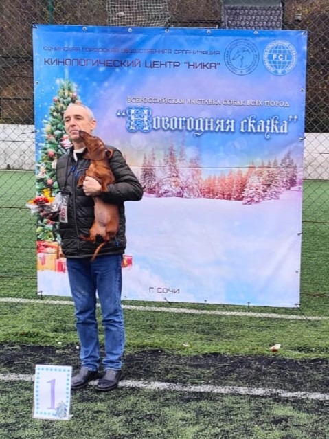 Русский Ассортик Цесси
#ятакса