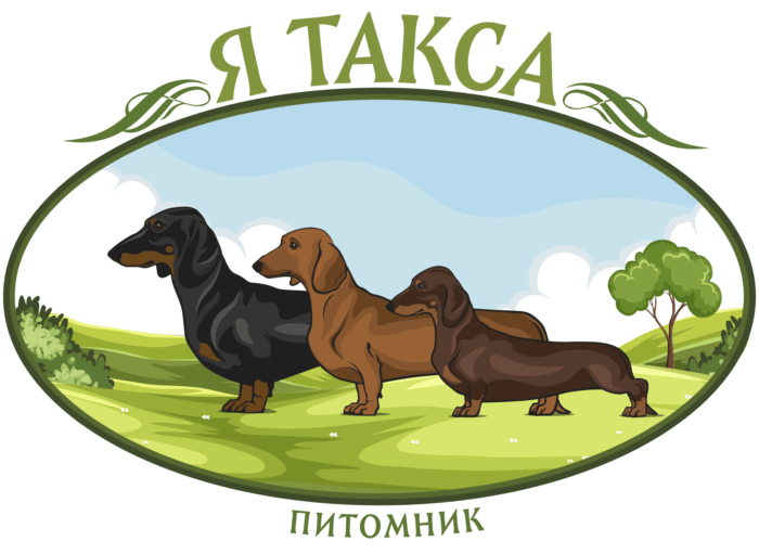 Логотип питомника собак "Я Такса"